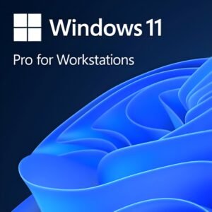 Microsoft Windows 11 Pro for Workstations lifetime license - supports up to 4 CPUs, 6TB RAM, ReFS, RDMA for CAD, data science, and power users