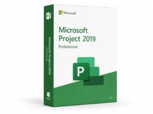 Microsoft Project 2019 Professional lifetime license for 1 PC - classic project management with Gantt charts, resource management, timesheets, and Project Online sync