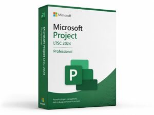 Microsoft Project LTSC 2024 Professional perpetual license for 1 PC - advanced project management with Gantt charts, resource management, timesheets, and Project Online sync